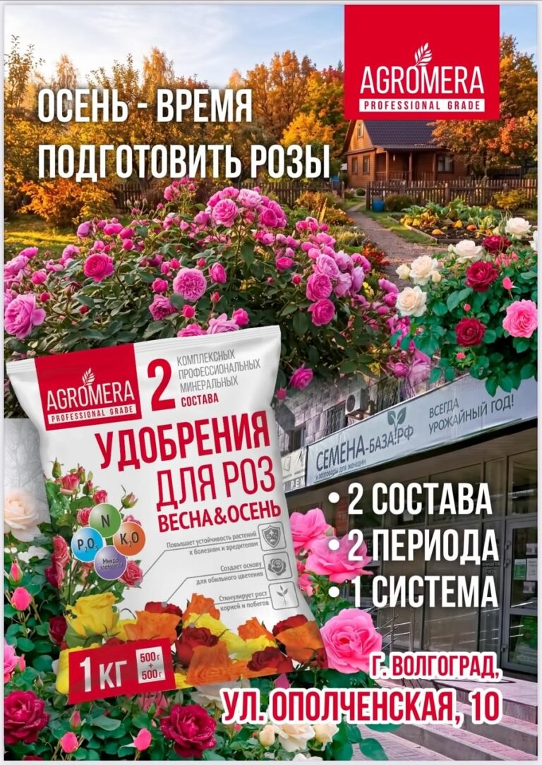 СЕМЕНА-БАЗА.РФ СЕМЕНА-БАЗА.РФ
