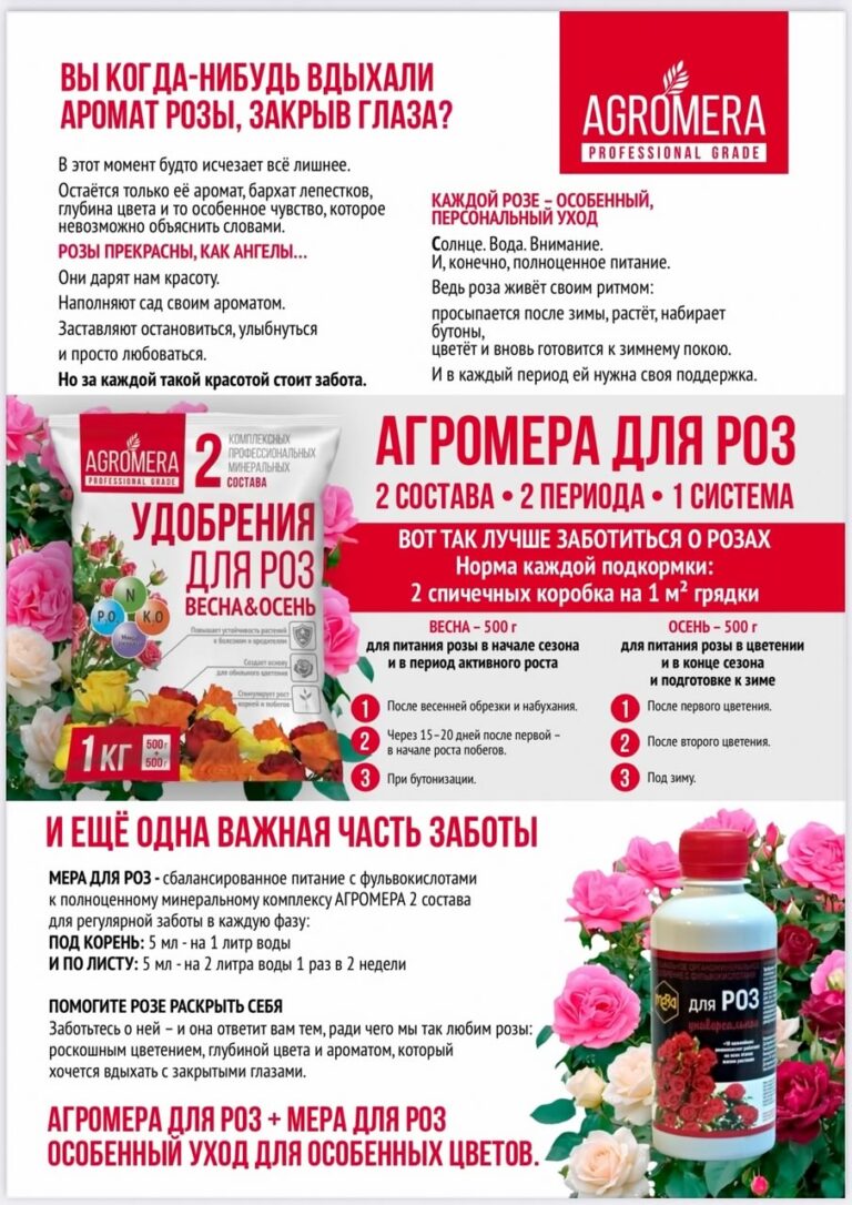 СЕМЕНА-БАЗА.РФ СЕМЕНА-БАЗА.РФ